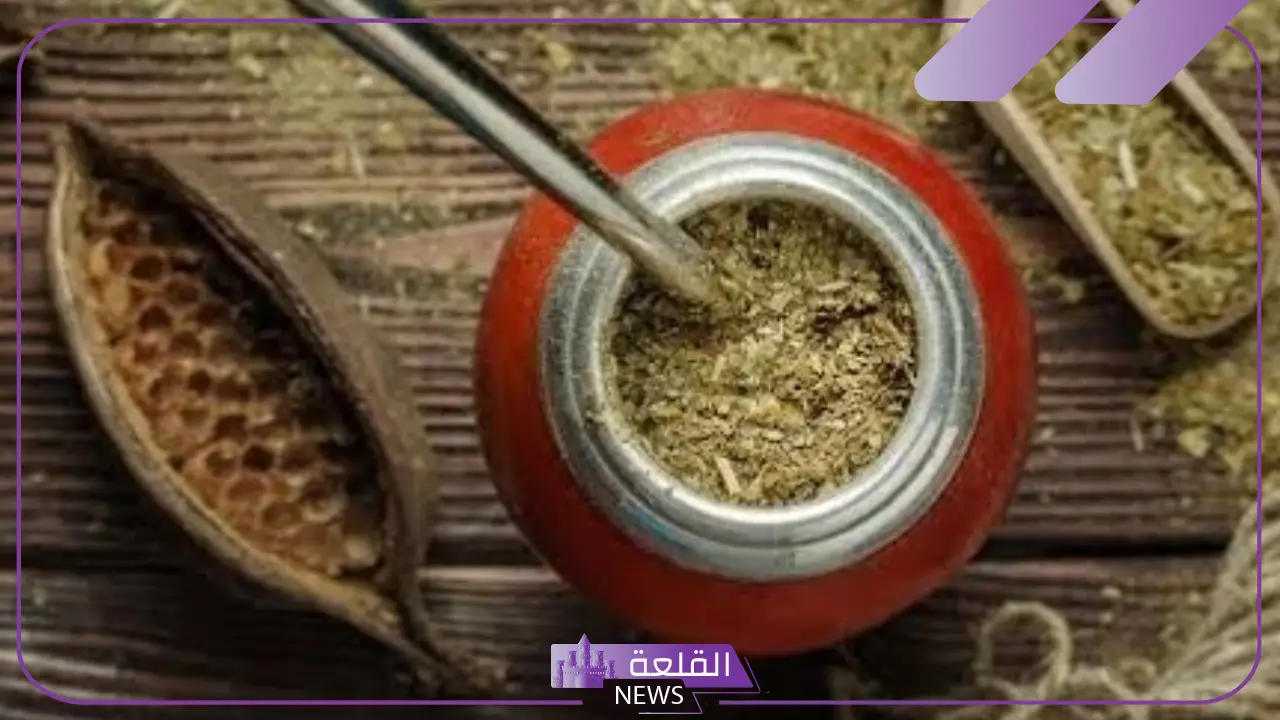 ما هي عشبة المتة وما أهم فوائدها للرجال والنساء؟