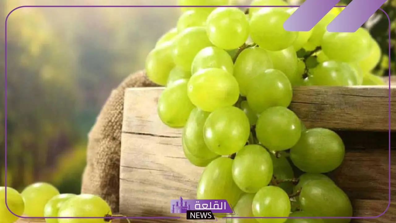 تفسير حلم العنب الاخضر في المنام وأكله للحامل والمتزوجة لابن سيرين 5 العنب الأخضر في الحلم.. رموز الرزق والصحة والنجاح في الحياة