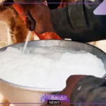 فوائد حليب الابل للقولون.. تجربتي مع حليب الإبل