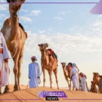 الغفيلي وش يرجعون النسب والأصل، منازل عائلة الغفيلي 