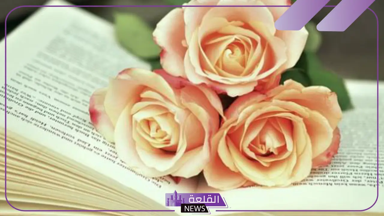 قصائد في الحب رومانسية غزل.. أجمل قصيدة حب رومانسية 5 قصائد في الحب تويتر