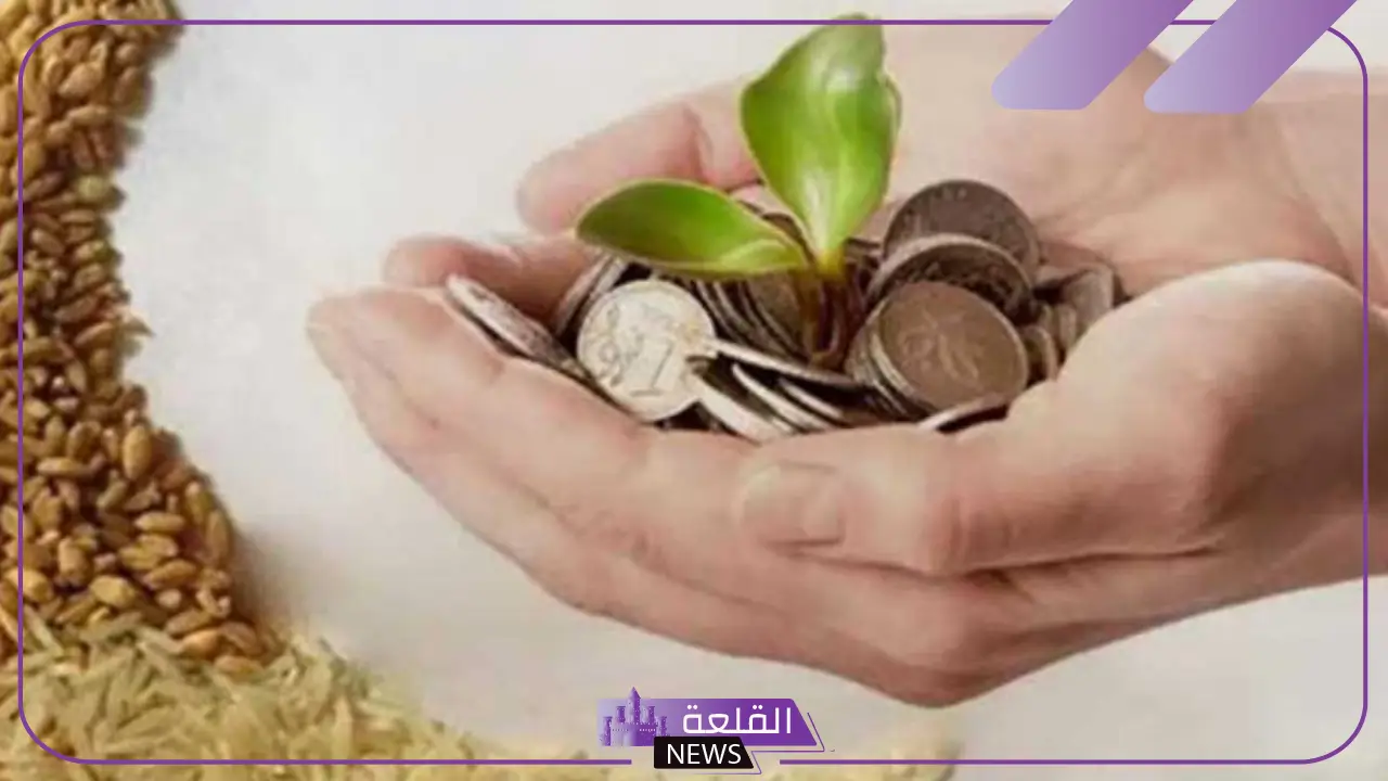 تعرف عليها.. الإفتاء تعلن قيمة وموعد زكاة الفطر للعام 1446