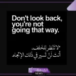 كلمة معبرة عن الحياة والدنيا قصيرة.. كلام واقعي عن الحياة