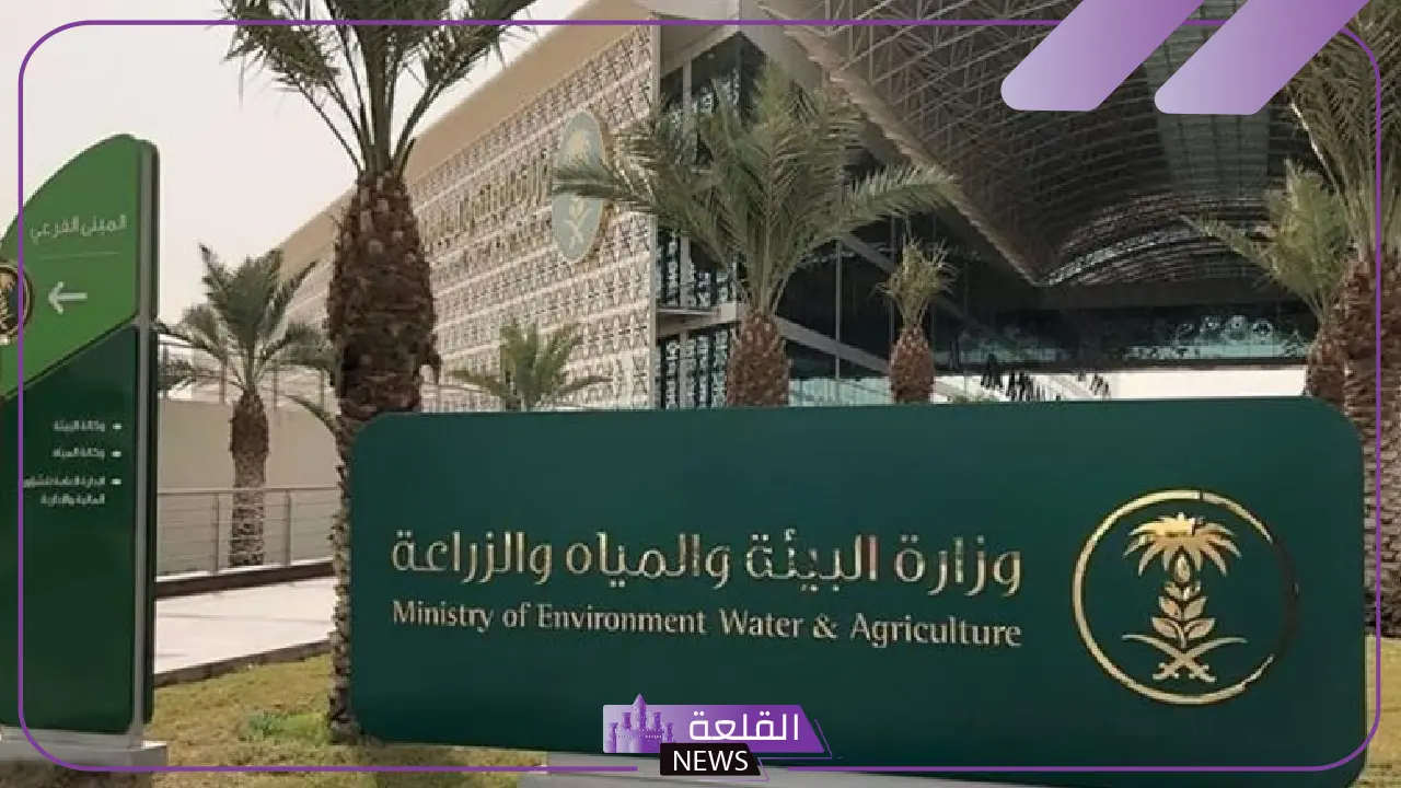 فرصة.. المملكة تعلن طرح فرصًا للاستثمار لإنشاء 5 مدن زراعية أمام القطاع الخاص 5 5 مدن زراعية جديدة.. فرص استثمارية ضخمة في القطاع الزراعي
