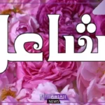 ما رمز ومعنى اسم مشاعل في المنام وتأويل الحلم به لابن سيرين
