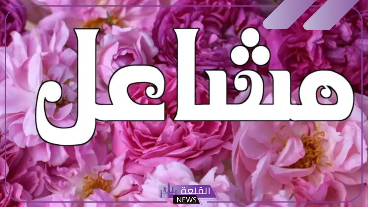 ما رمز ومعنى اسم مشاعل في المنام وتأويل الحلم به لابن سيرين