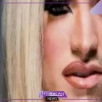 ما معنى شيميل وما أصلها؟ هل كلمة شيميل كلمة مهينة 