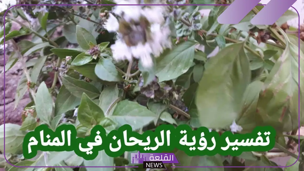 ما هو رمز وتفسير الريحان في المنام وقطفه لابن سيرين