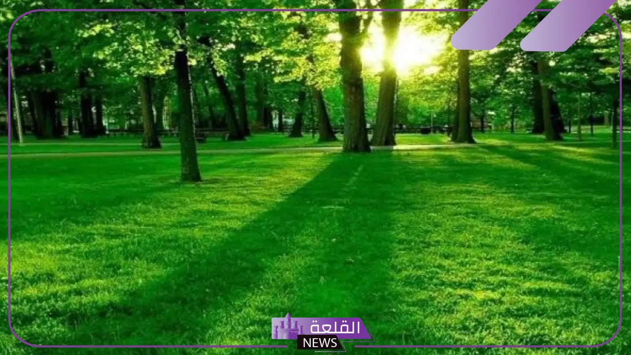 ما هي دلالة اللون الاخضر؟ معني اللون الأخضر في علم النفس 