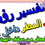 تفسير حلم نزول المطر من سقف البيت في المنام لابن سيرين