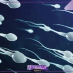 تفسير حلم نزول المنى في المنام للرجل لابن سيرين