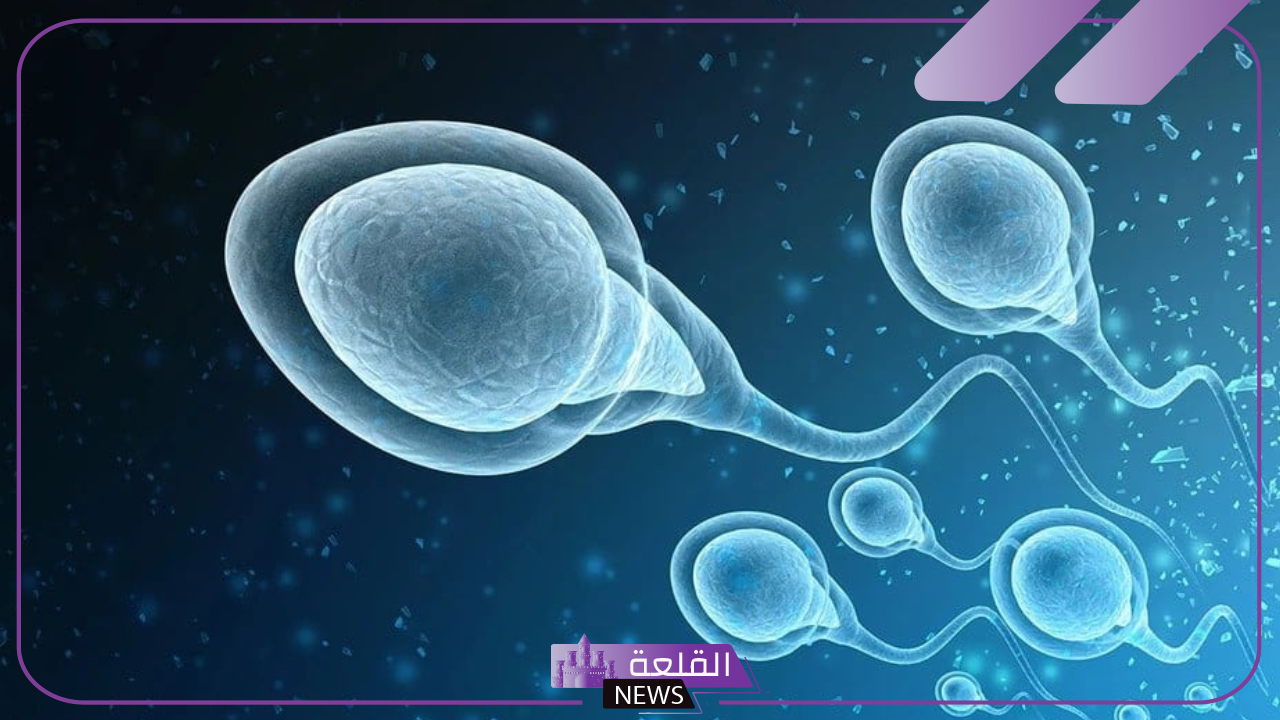 تفسير حلم نزول المنى في المنام للرجل لابن سيرين 5 دلالة نزول المني في المنام