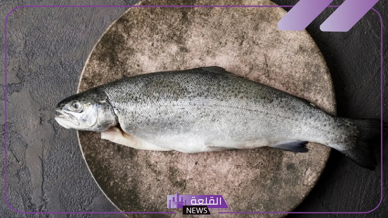 احذر منها.. الغذاء والدواء تذكر من 4 أنواع سمك تؤدي للتسمم