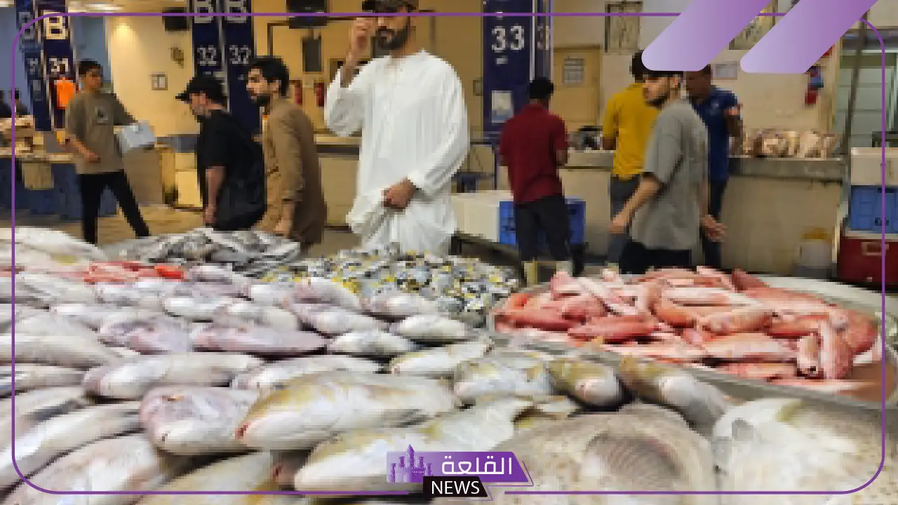 غلاء غير مسبوق.. أسعار الأسماك في الشرقية بالمملكة