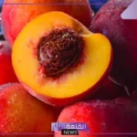 تفسير حلم أكل الدراق في المنام للرجل الحامل والعزباء والمتزوجة