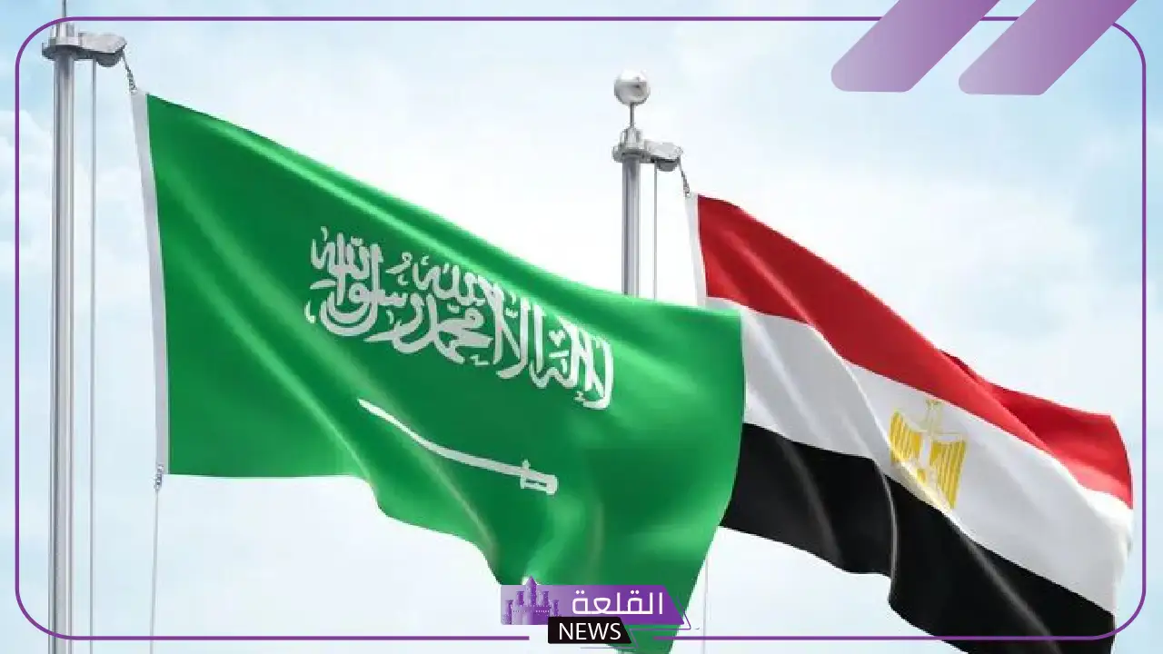 طالع التفاصيل.. شراكة سعودية مصرية استراتيجية ومنتدى استثماري 5 شراكة نوعية بين المملكتين لفتح آفاق استثمارية واعدة