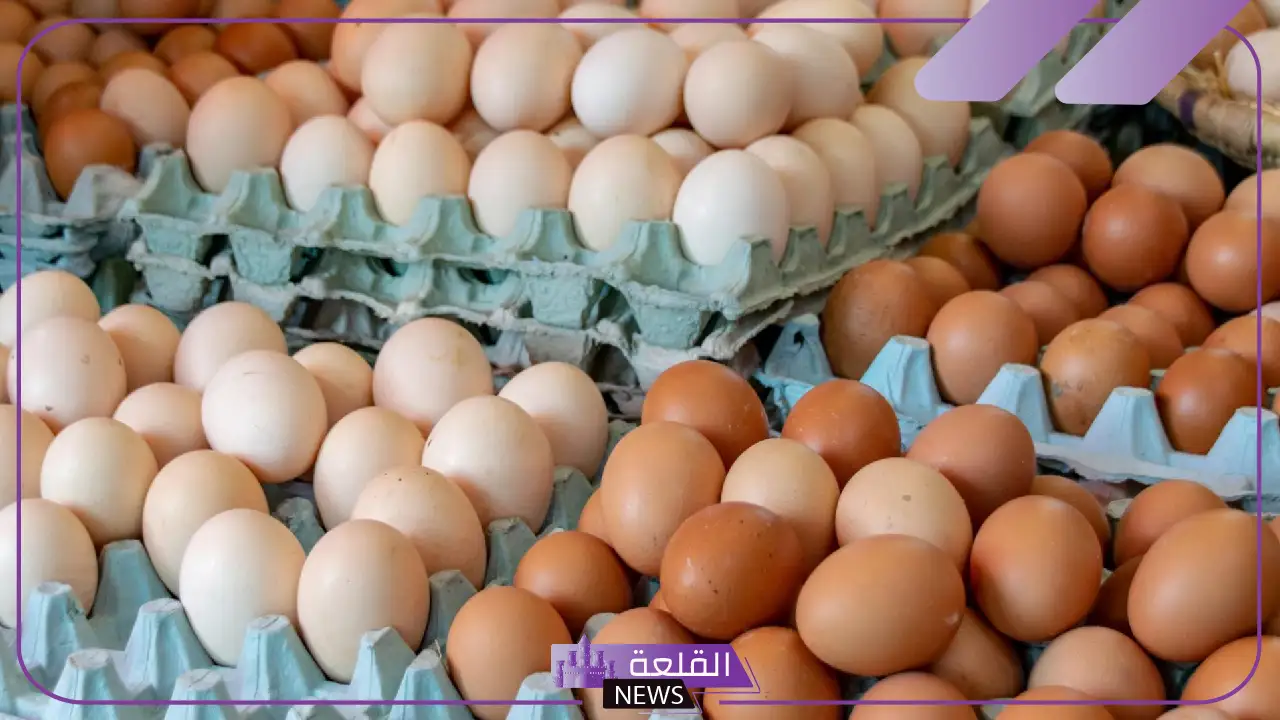 تراجع ملحوظ.. ما السبب وراء تراجع أسعار البيض في مصر؟ 20 تراجع ملحوظ.. ما السبب وراء تراجع أسعار البيض في مصر؟