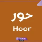 ما معنى اسم حور بالانجليزي والعربي.. عيوب اسم حور