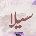 معنى اسم سيلا في القران الكريم وأصله.. هل اسم سيلا حرام؟