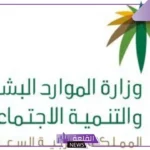 عقب مراجعة قرارات التوطين.. الموارد البشرية تكشف عن الجنسيات المتاح لأصحابها العمل في بقالات المملكة