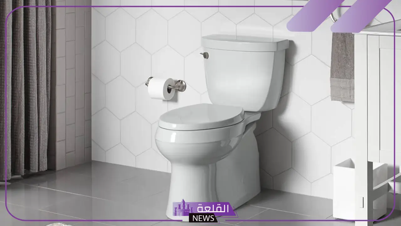 حلمت اني اتبرز في المنام للرجل والمرأة لكبار المفسرين 5 تفسير رؤية البراز لابن سيرين في المنام