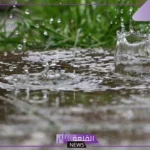 تفسير حلم البرد في المنام للعزباء والحامل والمتزوجة والرجل