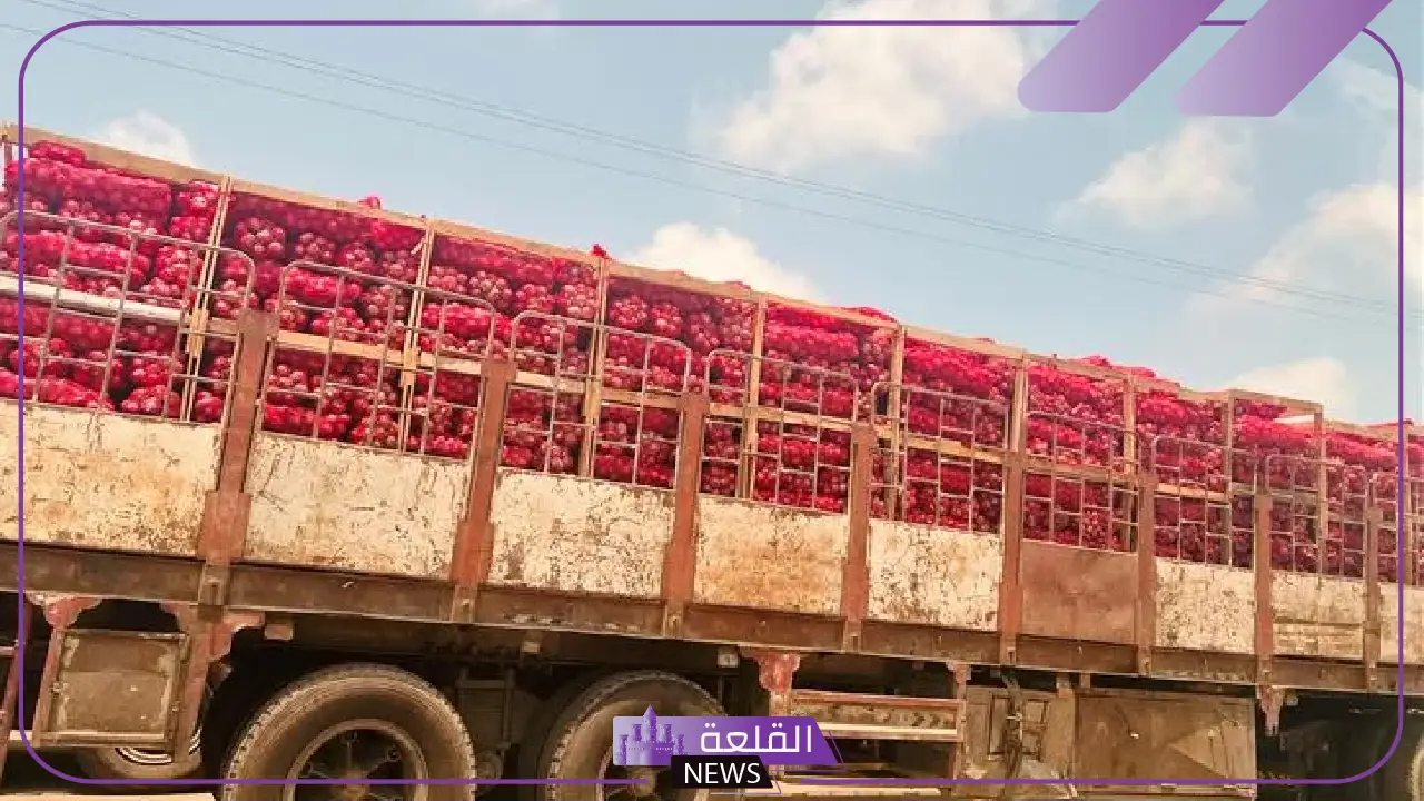 تعرف على السبب.. استئناف بخصوص دخول البصل اليمني عبر الوديعة إلى أسواق المملكة 5 البصل اليمني يعود للأسواق السعودية.. ما الذي تغيّر؟