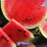 تفسير حلم اعطاء الميت بطيخ في المنام لابن سيرين والنابلسي