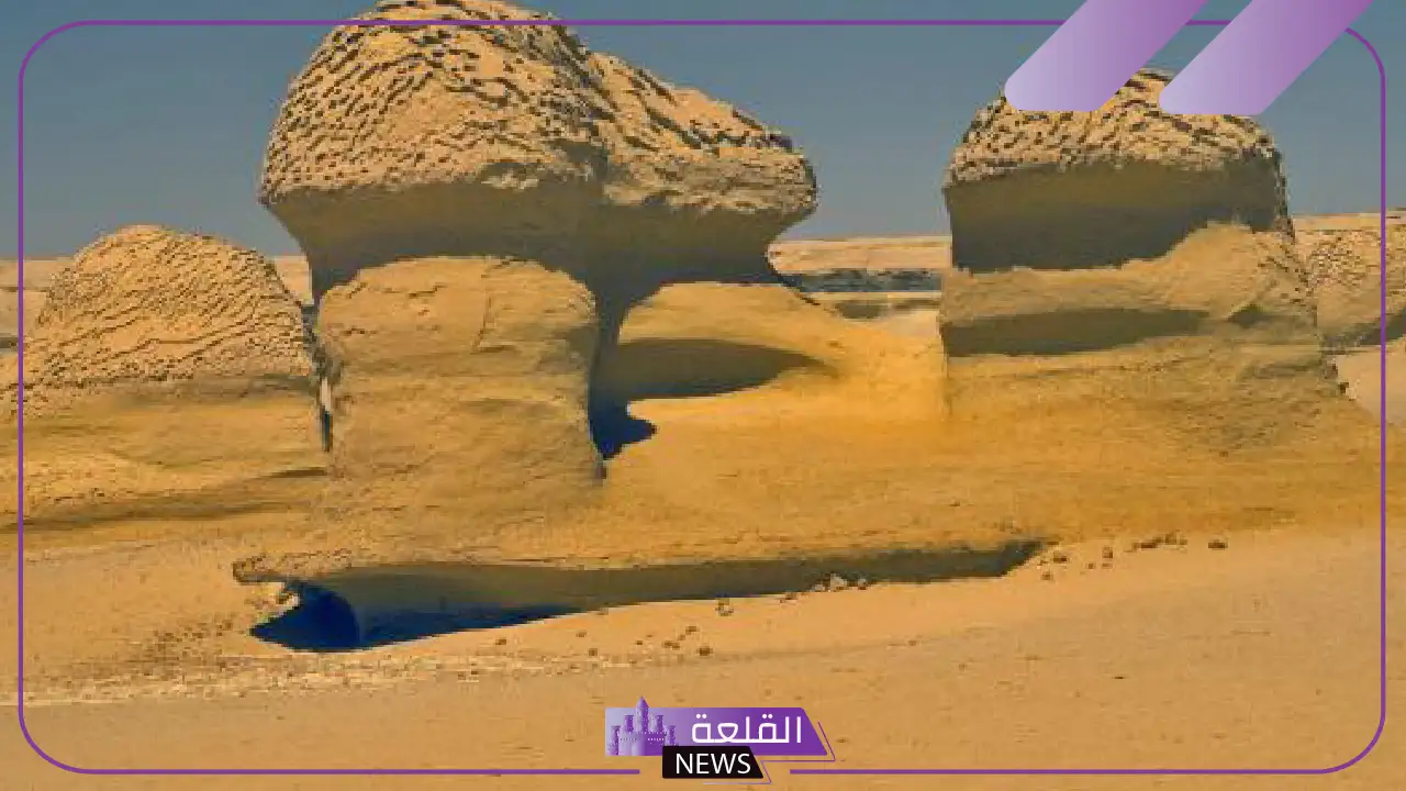 ما هي عوامل التعرية؟ تأثير التعرية على التضاريس 5 الفرق بين التعرية والتجوية وأمثلة من الواقع