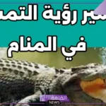تفسير رؤية التمساح في المنام للحامل والمطلقة والرجل لابن سيرين