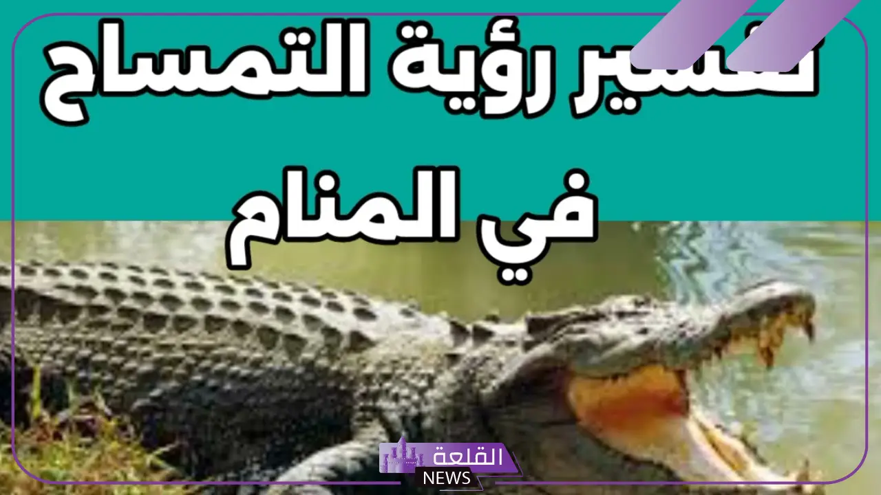 تفسير رؤية التمساح في المنام للحامل والمطلقة والرجل لابن سيرين