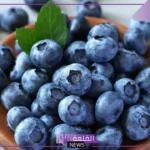 هذا ما يحدث لجسمك حينما تتناول التوت الأزر لمدة شهر كامل