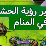 تفسير حلم رؤية الحشرات في المنام للحامل والمتزوجة لابن سيرين