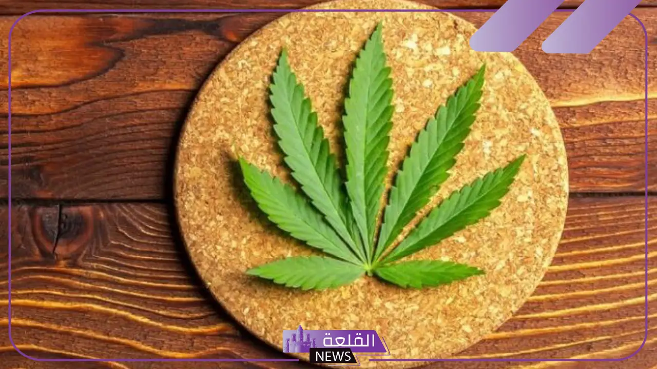 تفسير حلم أكل الحشيش في المنام للرجل والمرأة لابن سيرين 5 رؤية شخص يدخن الحشيش في المنام
