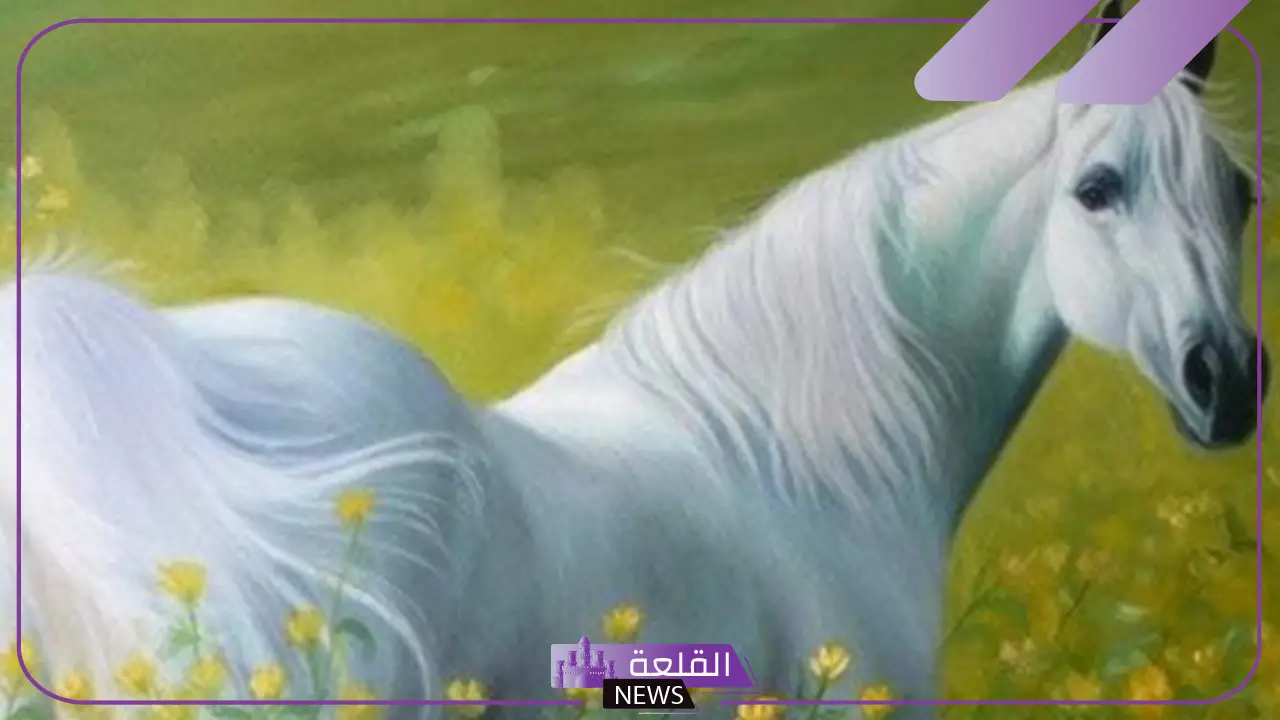 تفسير حلم الحصان الابيض في المنام للمتزوجة والعزباء للنابلسي وابن سيرين