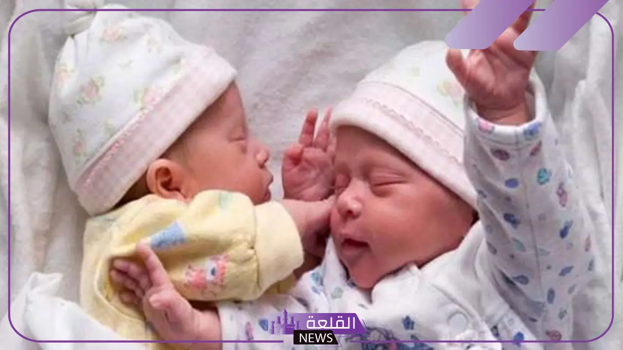الحمل في توأم في كيسين منفصلين عالم حواء.. أعراض الحمل بتوأم من الأسبوع الأول
