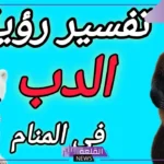 تفسير حلم الدب الكبير في المنام للمتزوجة والعزباء لابن سيرين