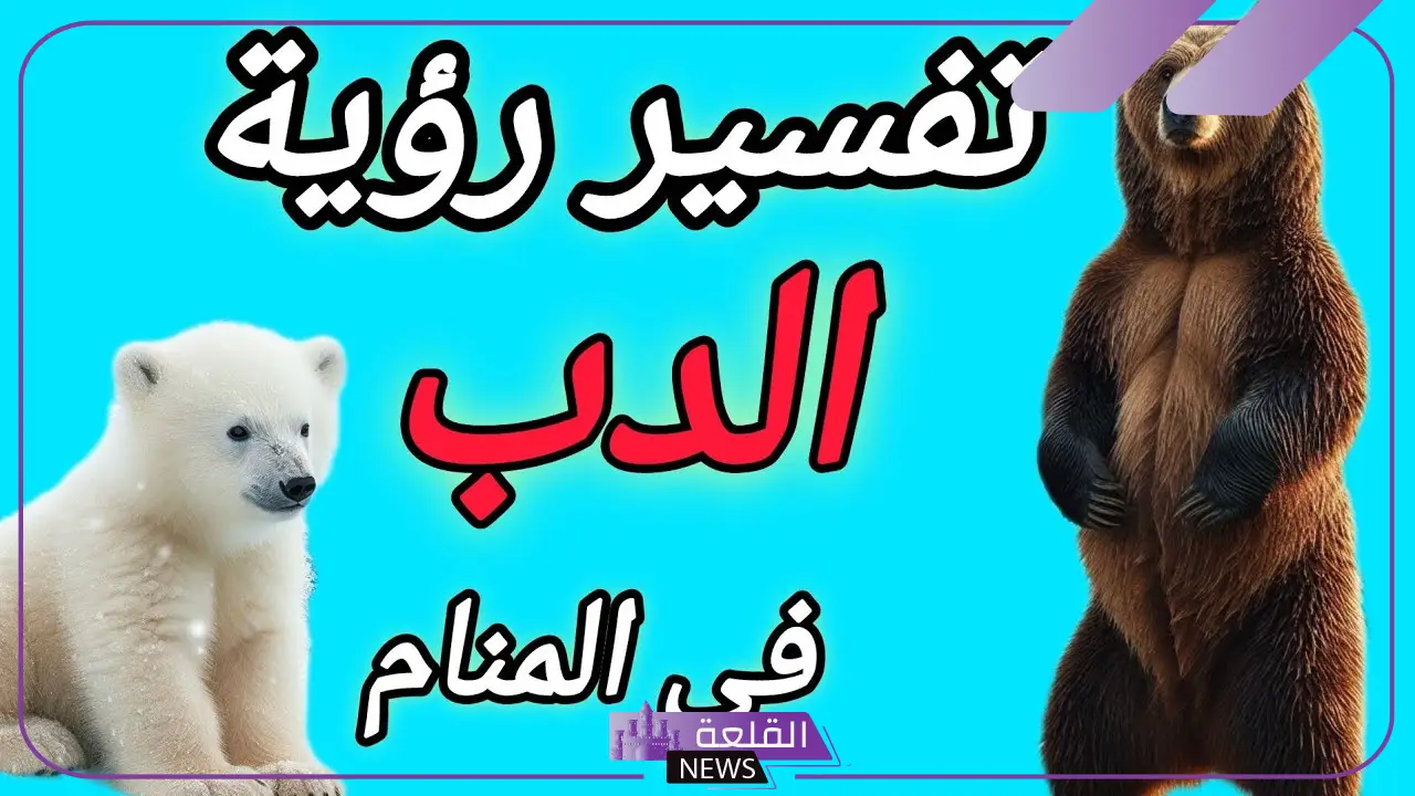 تفسير حلم الدب الكبير في المنام للمتزوجة والعزباء لابن سيرين