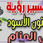 تفسير حلم الزيتون الاسود في المنام ورمزه لابن سيرين والنابلسي