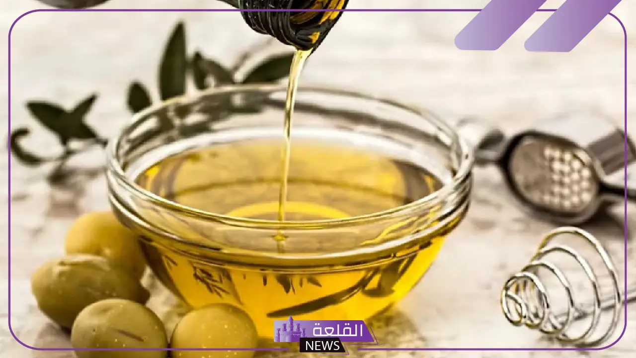 تفوق على الجميع.. الزيتون التونسي يتوج بالمرتبة الأولى على مستوى العالم أمام اليونان وإسبانيا 5 إنجاز جديد يرفع اسم تونس في قطاع الزراعة