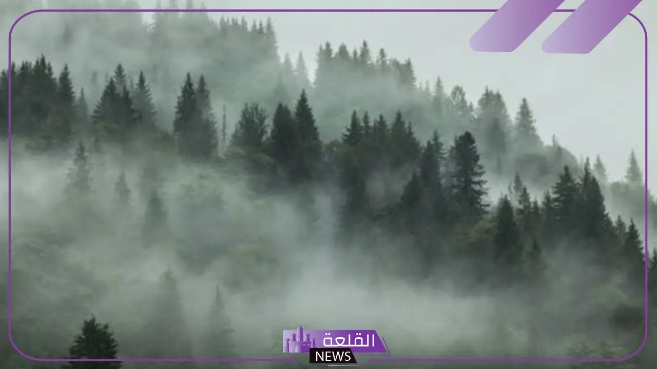 تفسير حلم الضباب في المنام للمرأة العزباء والرجل لابن سيرين تفسير حلم الضباب في المنام للمرأة العزباء والرجل لابن سيرين