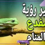 تفسير رؤية الضفادع في المنام للرجل والمراة المتزوجة لابن سيرين