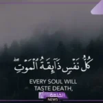 هل رؤية العزاء في المنام بشارة خير؟ تفسير حلم العزاء للمتزوجة