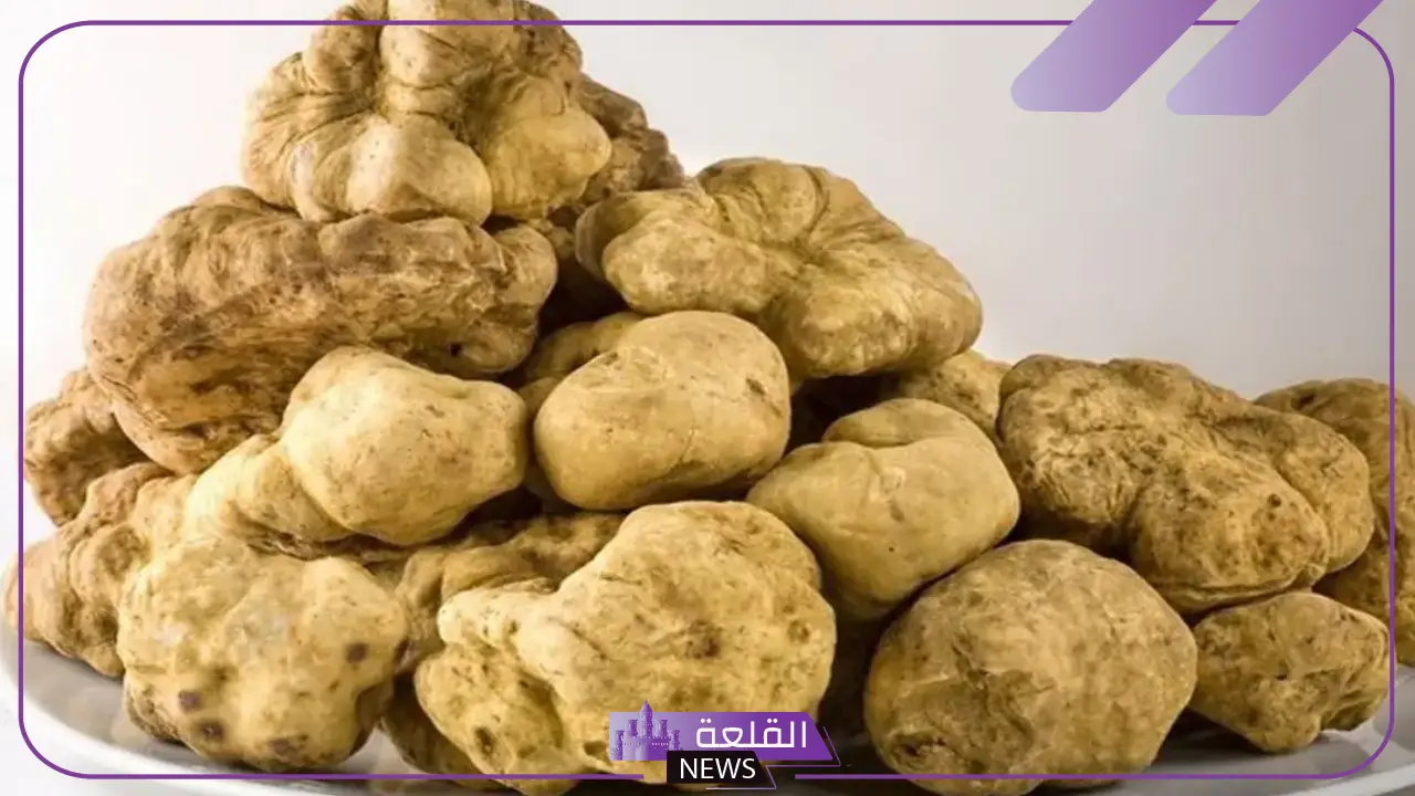 تفسير حلم الفقع للعزباء والمتزوجة في المنام لابن سيرين 5 رؤية الفقع في المنام للمتزوجة