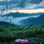 تفسير حلم المطر في المنام للمتزوجة والحامل لابن سيرين
