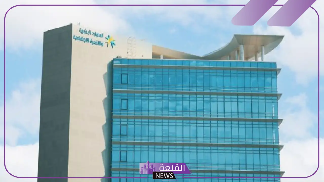 الموارد البشرية والسياحة.. توطين 41 مهنة سياحية أهمها مديرو الفنادق والشركات