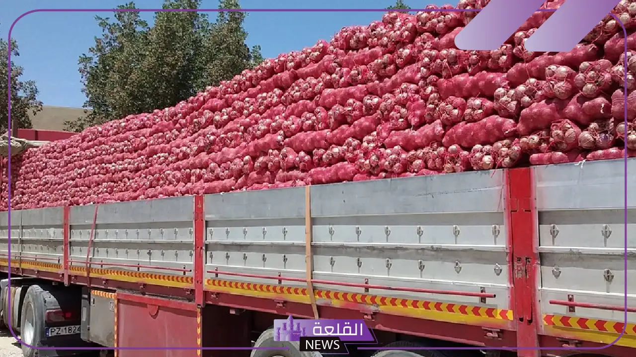 تعرف على السبب.. استئناف بخصوص دخول البصل اليمني عبر الوديعة إلى أسواق المملكة