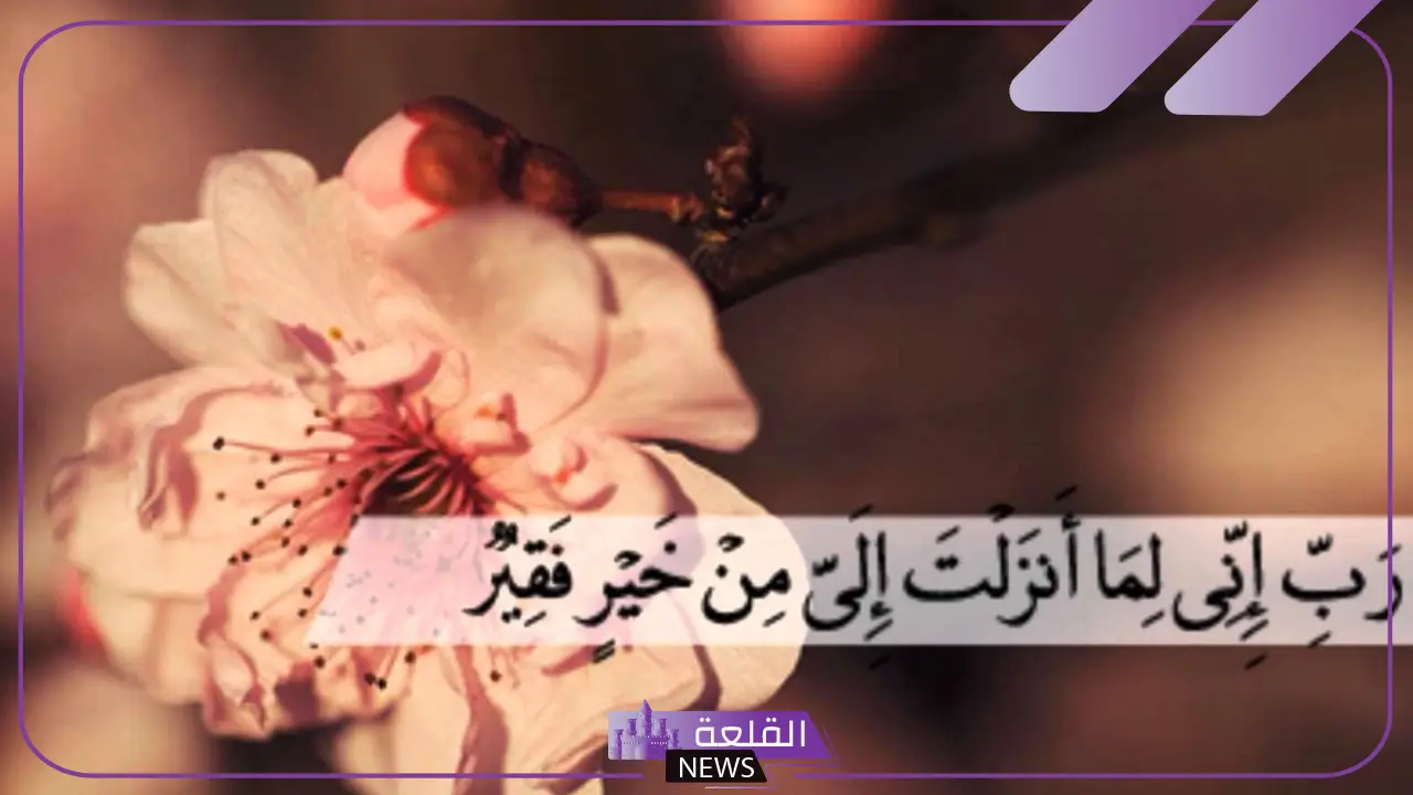 ربي اني لما انزلت الي من خير فقير تجربتي 1000 مرة 5 قصص ملهمة عن فضل دعاء موسى عليه السلام