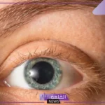 جمع كلمه بؤبؤ في اللغة العربية.. كلمة بؤبؤ في جملة مفيدة