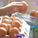 بعد تراجع أسعار البيض.. المواد الغذائية تنصح المواطنين بعدم التخزين